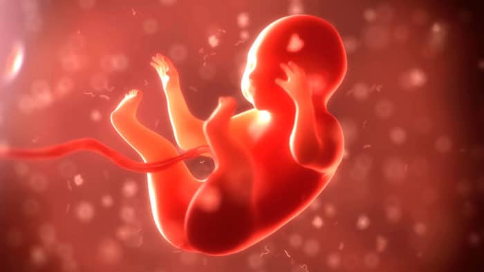Alimentos abortivos en el primer mes